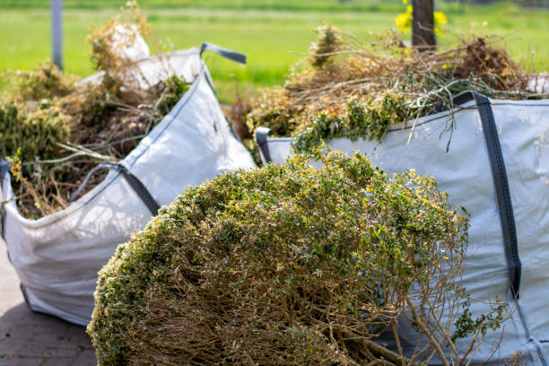Best Office Junk Removal  in Oakland, NE
